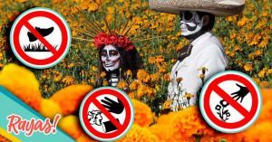 5 cosas que no debes hacer si visitas los campos de cempas&uacute;chil esta temporada