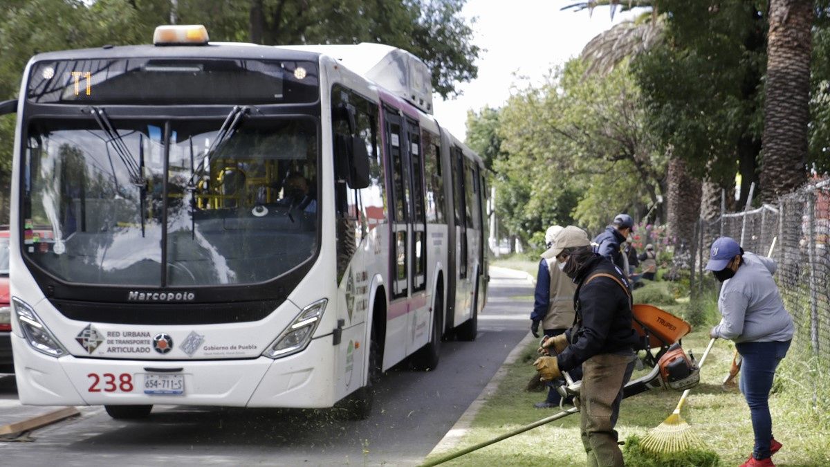Se ha dado mantenimiento a m&aacute;s del 50% de camellones y jardines en Puebla capital
