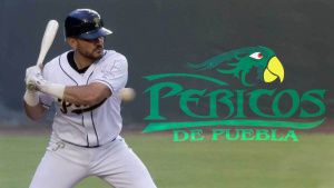 Pericos de Puebla te invita a crear un mural que muestre la historia del club