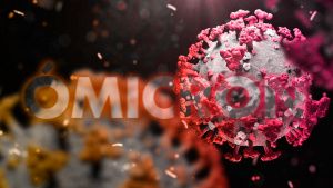 GISAID reporta 23 casos de &Oacute;micron en M&eacute;xico