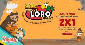 Vete disfrazado a Parque Loro y gana una entrada al 2x1