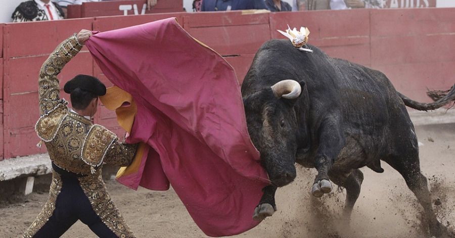 La "Fiesta brava" se queda en Puebla: desechan en Cabildo iniciativa para prohibir la tauromaquia