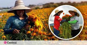 Los vendedores de la capital esperan una alta venta en pr&oacute;ximos d&iacute;as.