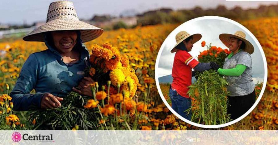 Los vendedores de la capital esperan una alta venta en pr&oacute;ximos d&iacute;as.