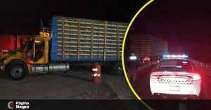 Guardia Nacional recupera camión con más de 250 mil pollos en Cañada Morelos