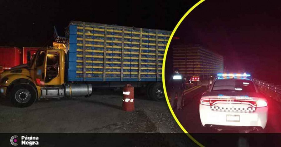 Guardia Nacional recupera cami&oacute;n con m&aacute;s de 250 mil pollos en Ca&ntilde;ada Morelos