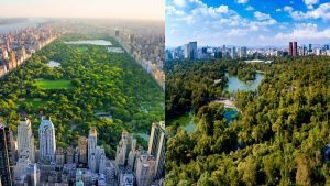 Central Park, la versi&oacute;n &ldquo;chafa&rdquo; de Chapultepec, dice tiktoker australiana