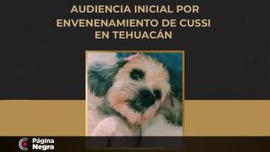 Se realiza primer audiencia por maltrato animal en Tehuacán