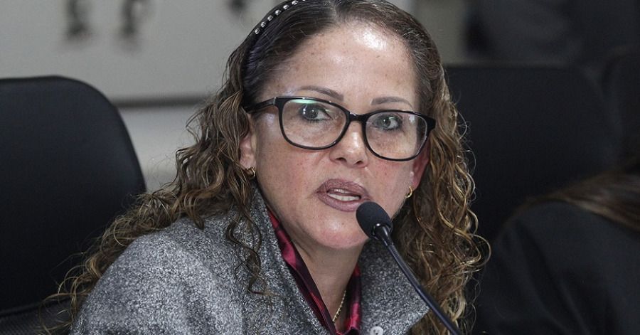 La diputada Olga Romero indic&oacute; que a&uacute;n est&aacute;n en tiempos legales.