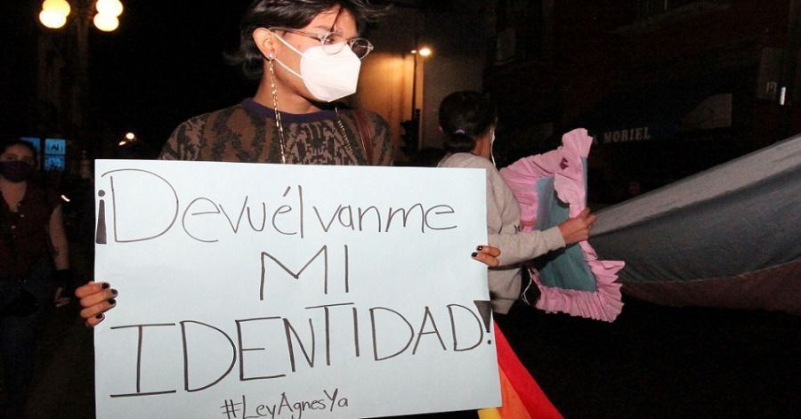 Convocan a comisiones para Ley Agnes, pero buscar&aacute;n retrasar su aprobaci&oacute;n con una reforma Constitucional