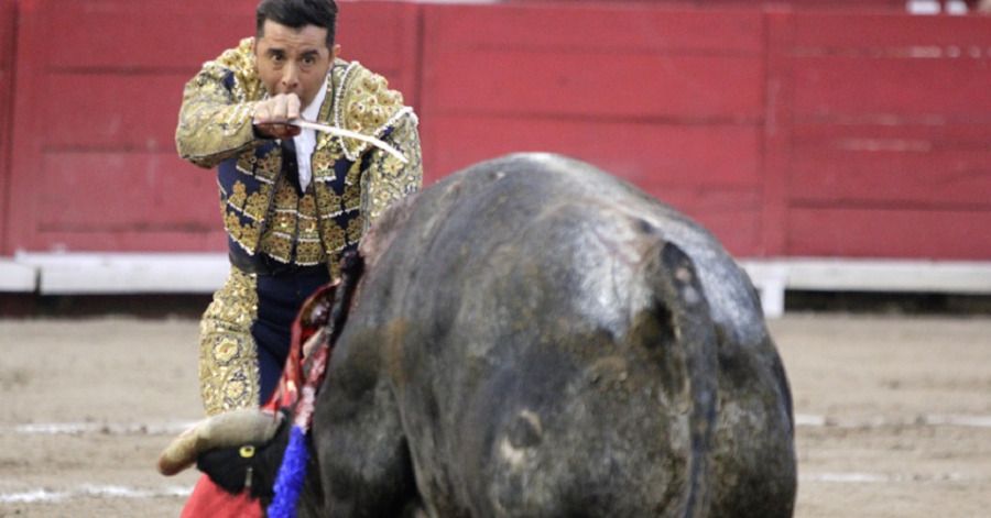 ONG&rsquo;s vs la tauromaquia lamentan que regidores de Puebla avalen las corridas de toros