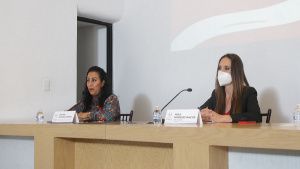 LXI Legislatura refrenda compromiso de la lucha contra la violencia de g&eacute;nero: Sergio C&eacute;spedes