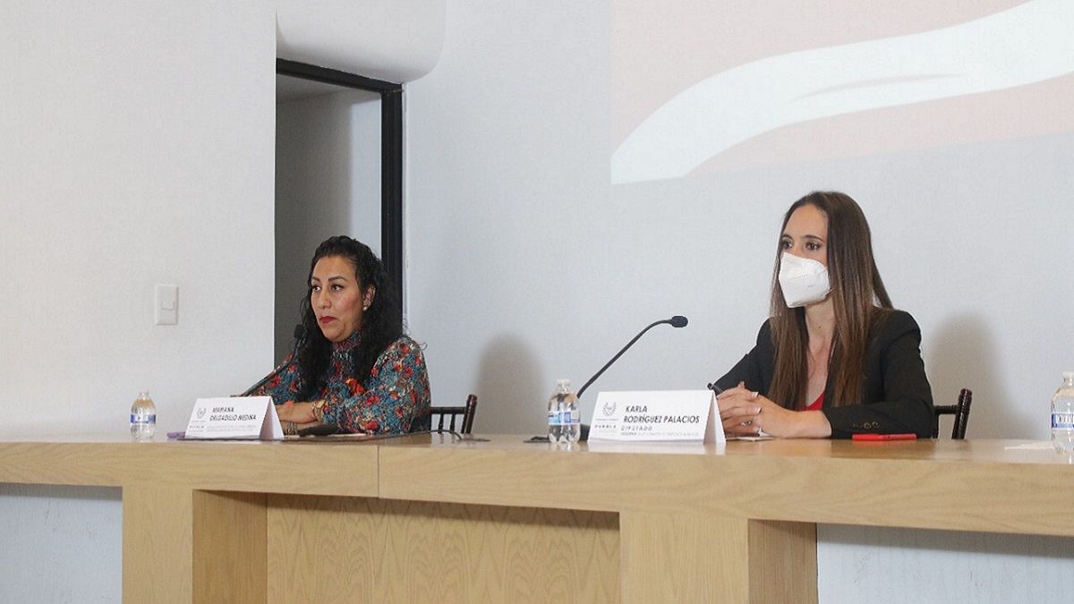 LXI Legislatura refrenda compromiso de la lucha contra la violencia de g&eacute;nero: Sergio C&eacute;spedes