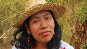 Desaparece nuevamente la ambientalista indígena, Irma Galindo