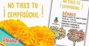 Dona tu flor de cempasúchil a este centro de acopio en Puebla.