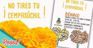 Dona tu flor de cempas&uacute;chil a este centro de acopio en Puebla.
