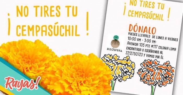 Dona tu flor de cempasúchil a este centro de acopio en Puebla.