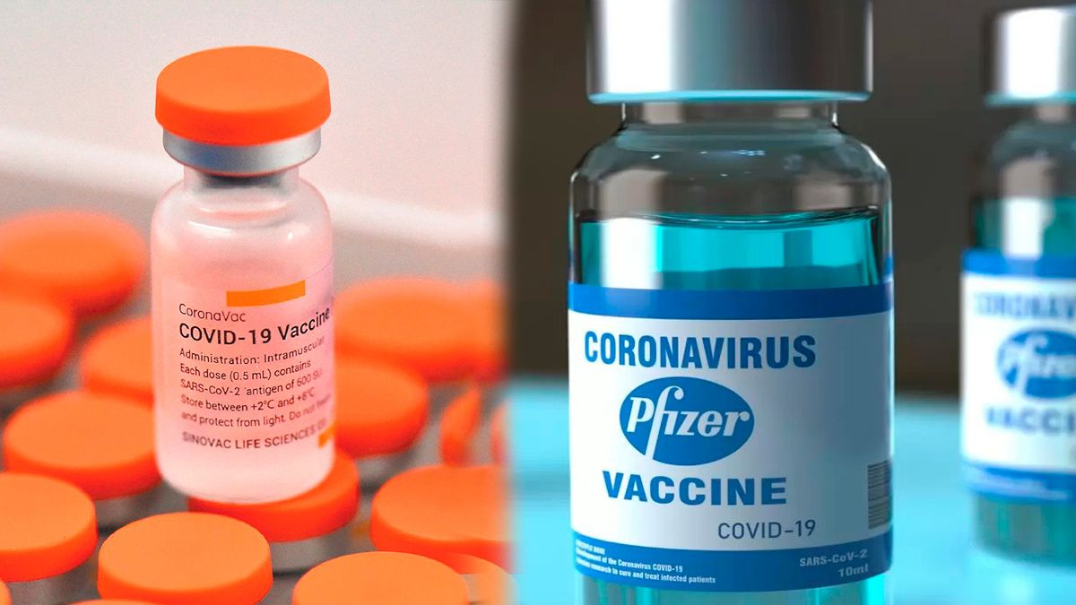Combinaci&oacute;n de vacunas Pfizer y Sinovac es &ldquo;segura&rdquo;, determina estudio