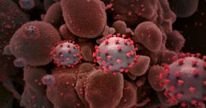 &iexcl;Por fin! Cient&iacute;ficos suecos descubren c&oacute;mo bloquear la infecci&oacute;n por covid-19