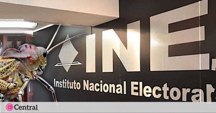 Legisladores locales que quieran chapulinear a una diputaci&oacute;n federal podr&aacute;n hacerlo sin pedir licencia: INE