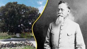 Declarar&aacute;n como &ldquo;&Aacute;rbol Patrimonial&rdquo; al encino donde descans&oacute; Venustiano Carranza en Puebla