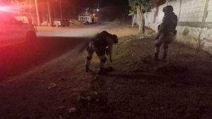 Guardia Nacional decomisa sustancias il&iacute;citas en Atlixco