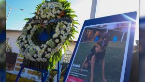 Con honores despiden a Sab&uacute;, agente canino de la SSC en Puebla