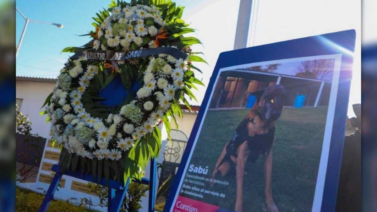 Con honores despiden a Sab&uacute;, agente canino de la SSC en Puebla