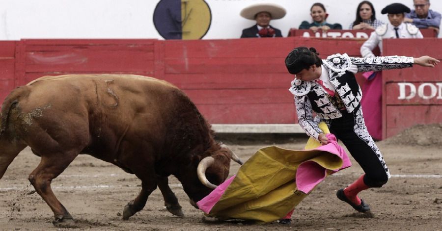 Ayuntamiento de Puebla aprueba en comisiones prohibir las corridas de toros