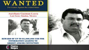 Ofrecen recompensa de 5 mdd por hermano de El Chapo