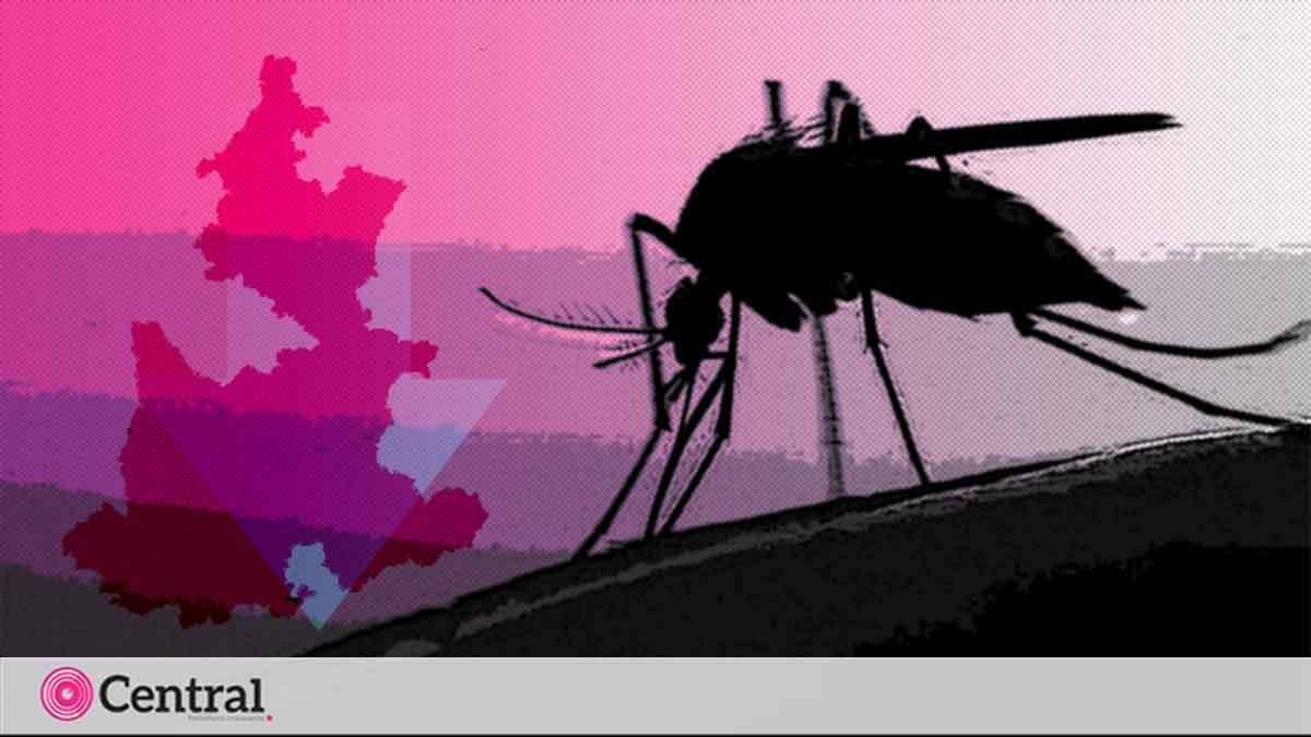 Este a&ntilde;o, en Puebla se han registrado 117 casos de dengue; disminuyeron 86.4%