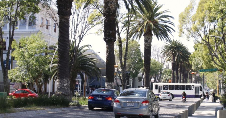 La Secretar&iacute;a de Medio Ambiente analizar&aacute; las leyes que impidan la tala.