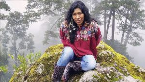 Tras ser amenazada, activista y defensora de los bosques desaparece en CDMX