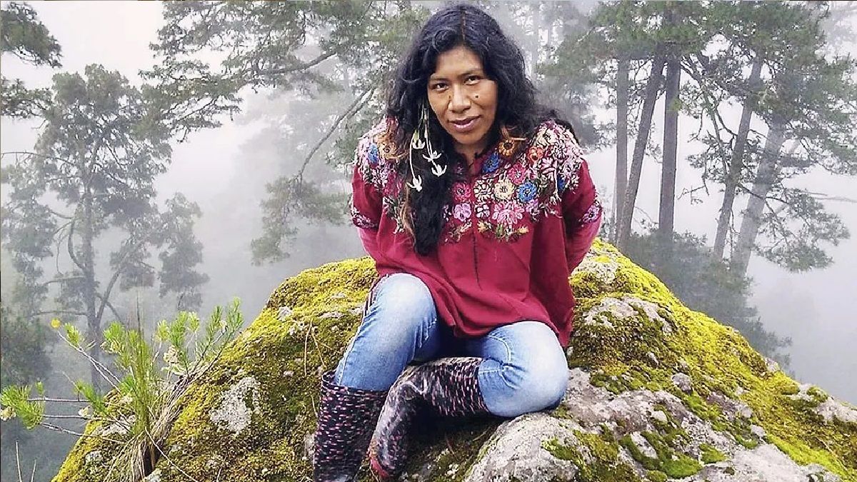 Tras ser amenazada, activista y defensora de los bosques desaparece en CDMX