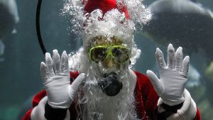 Zool&oacute;gico de Guadalajara sorprende a sus visitantes con un Santa acu&aacute;tico