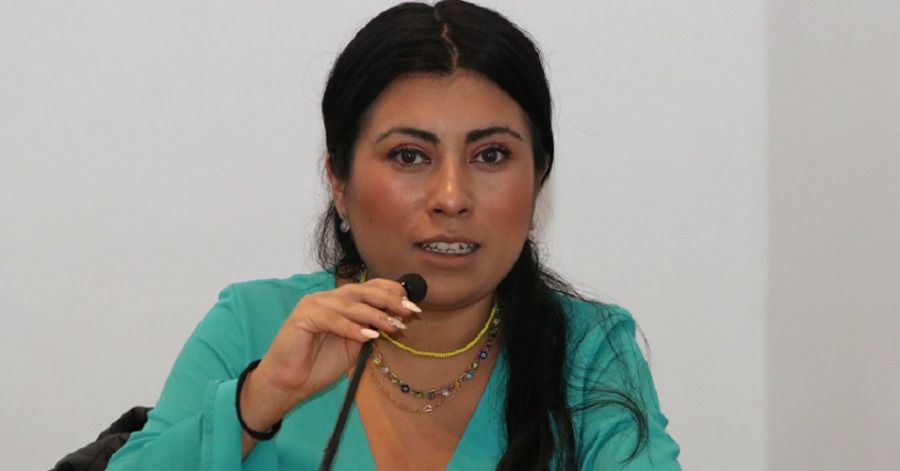 Ley de Desaparición de Personas de Puebla en riesgo por falta de atribuciones: Nora Merino