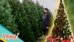 ¡Toma nota! Regresa la expo de árboles navideños en la Estrella de Puebla