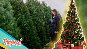 &iexcl;Toma nota! Regresa la expo de &aacute;rboles navide&ntilde;os en la Estrella de Puebla