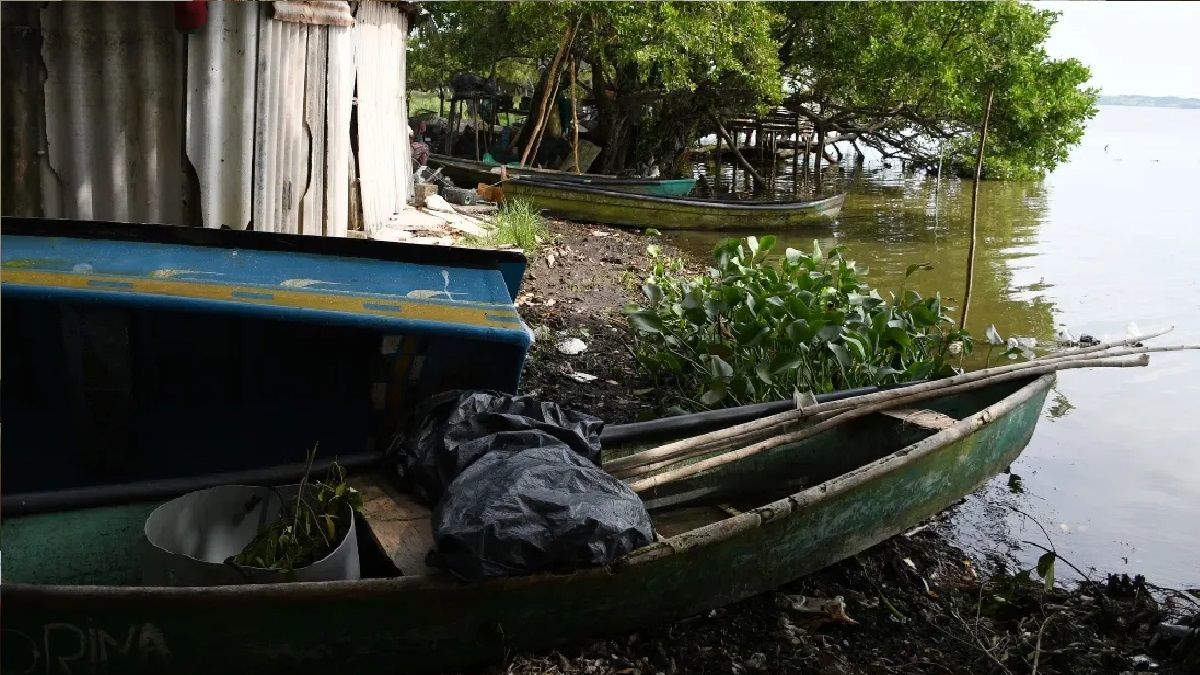 Encuentran 65 cuerpos y 5 mil restos humanos en laguna de Veracruz