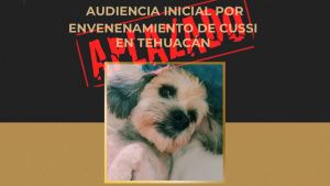 Aplazan audiencia contra mujer mataperritos de Tehuac&aacute;n