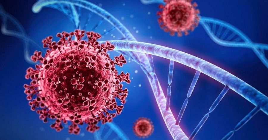 Los j&oacute;venes que viajaron a Canc&uacute;n trajeron las cepas del coronavirus.