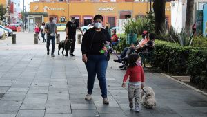 Puebla registr&oacute; solo seis nuevos casos de coronavirus y una muerte en las &uacute;ltimas 24 horas