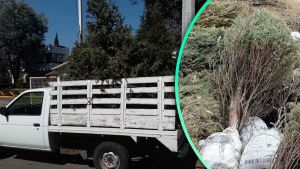 No tires tu &aacute;rbol de Navidad natural, mejor ll&eacute;valo a este centro de acopio