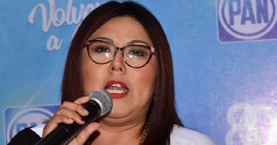 PAN cancela precampa&ntilde;a para presidencias municipales y diputaciones locales en Puebla