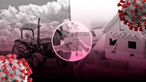 Empleos por sector en Puebla 