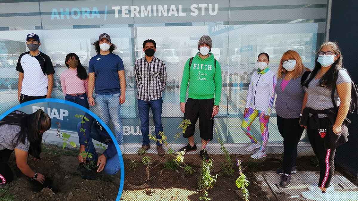 BUAP tendr&aacute; su primer jard&iacute;n polinizador para la conservaci&oacute;n de la biodiversidad