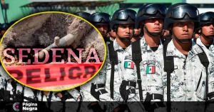Tepeaca, Tlalacaleca, Santa Rita Tlahuapan, San Mart&iacute;n Texmelucan y Los Reyes de Ju&aacute;rez fueron los sitios donde se localizaron las tomas.