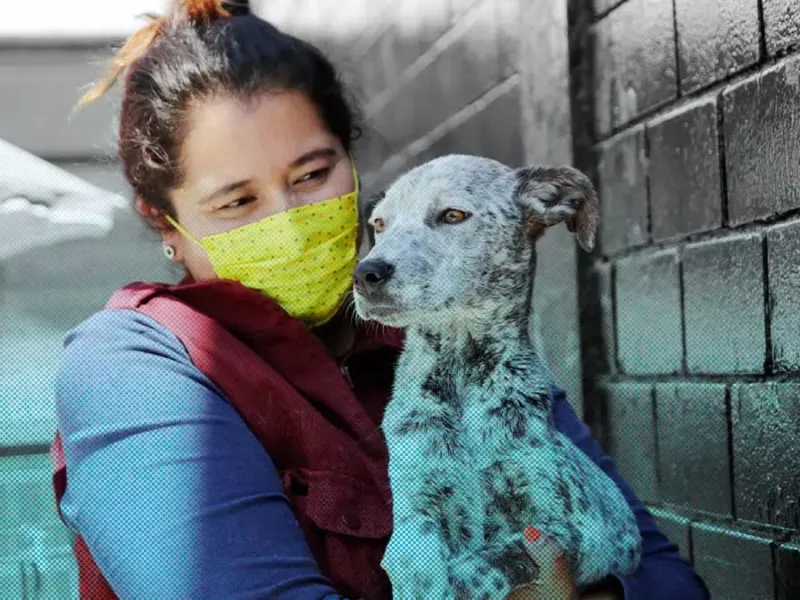 Que no se te pase la semana de vacunación antirrábica en Puebla