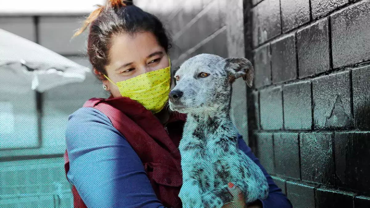 Que no se te pase la semana de vacunación antirrábica en Puebla