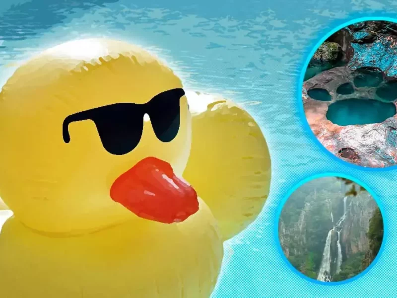 Áreas naturales donde nadar esta primavera